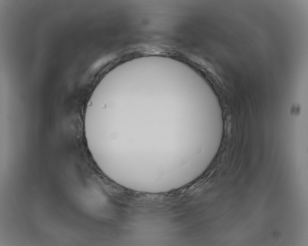 X0000093251446200709261546