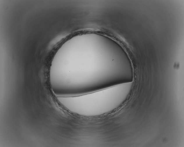 X0000093251448200709261546
