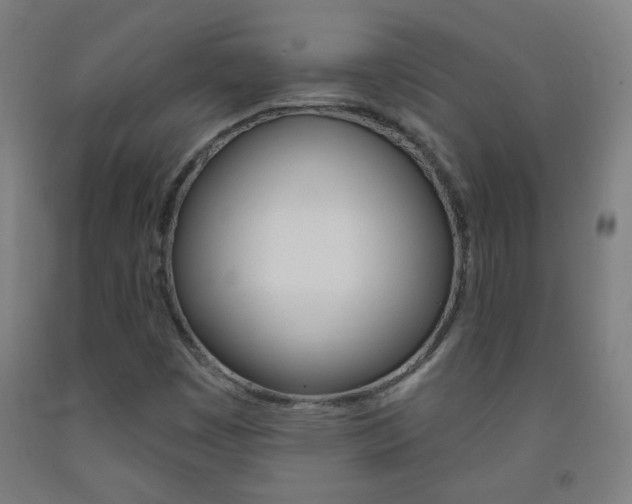X0000093251449200709261546