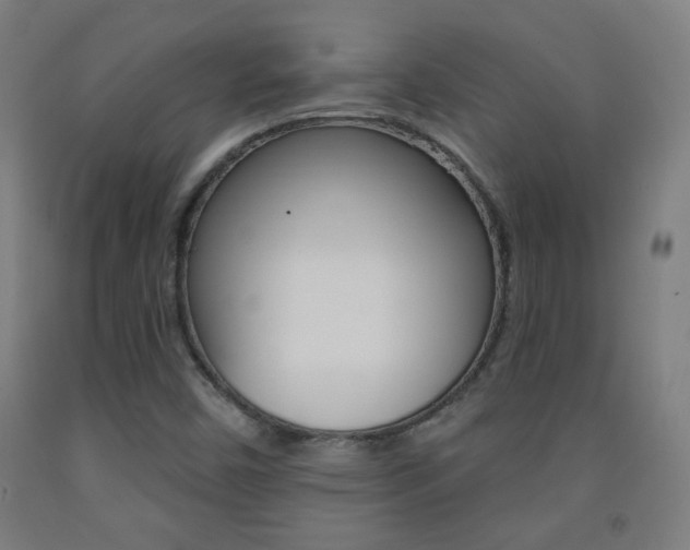 X0000093251450200709261546