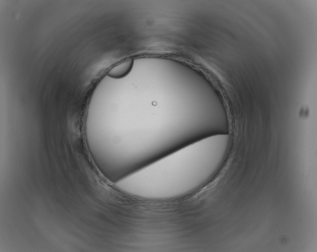 X0000093251451200709261546