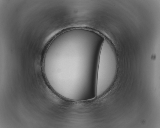 X0000093251452200709261546