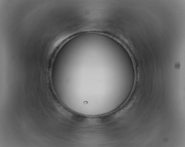 X0000093251453200709261546