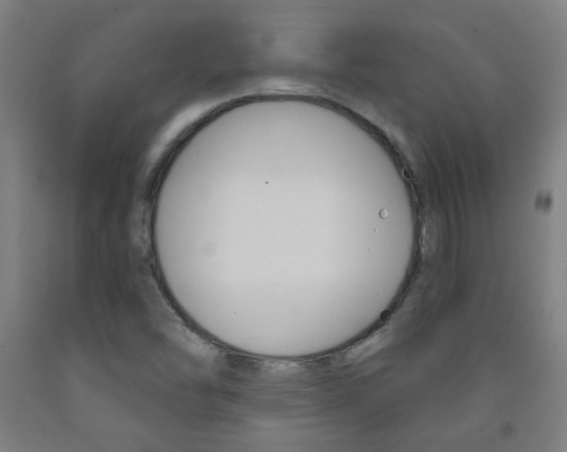 X0000093251454200709261546