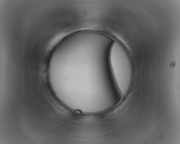 X0000093251455200709261546