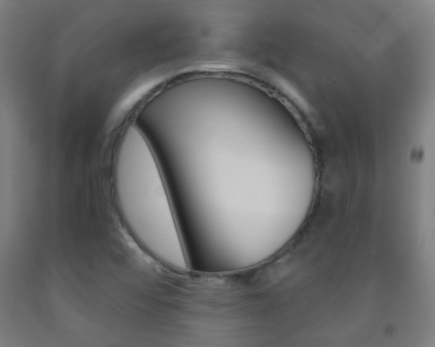 X0000093251456200709261546