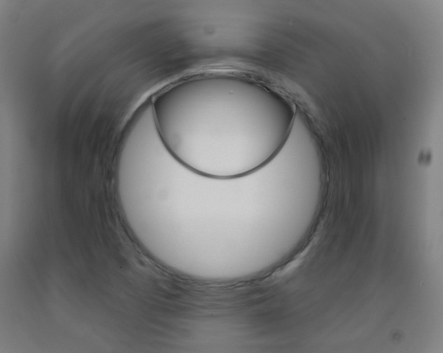X0000093251457200709261546