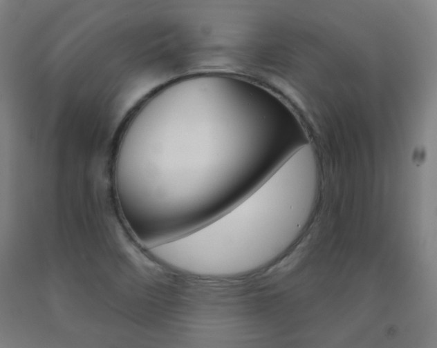 X0000093251458200709261546