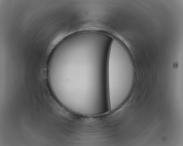 X0000093251459200709261546