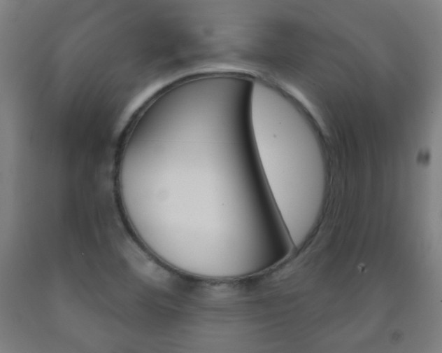 X0000093251460200709261546