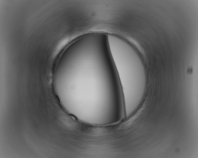 X0000093251461200709261546