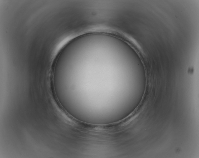 X0000093251463200709261546