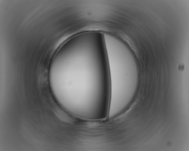 X0000093251465200709261546