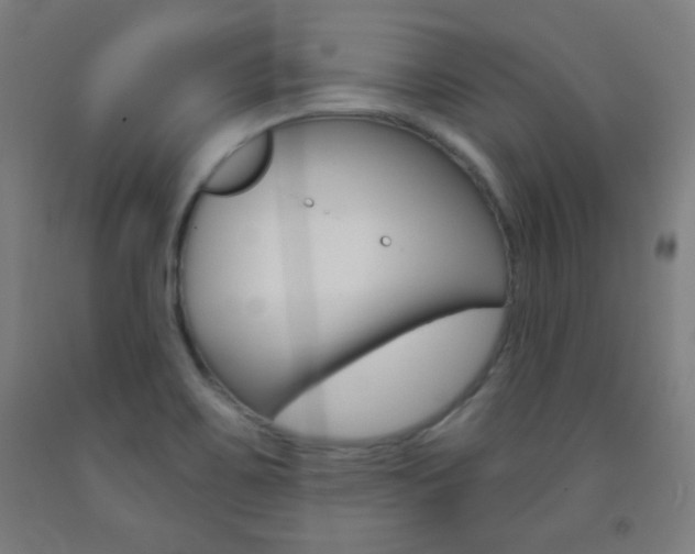 X0000093251467200709261546