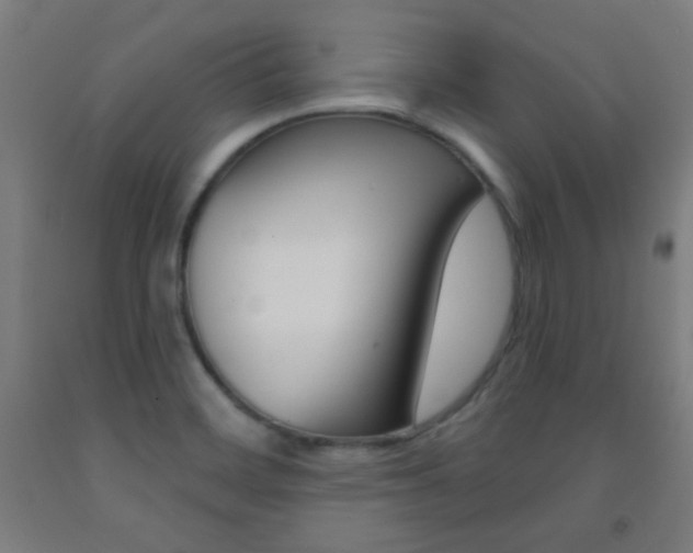 X0000093251468200709261546