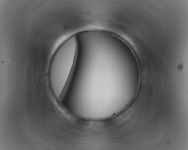 X0000093251469200709261546