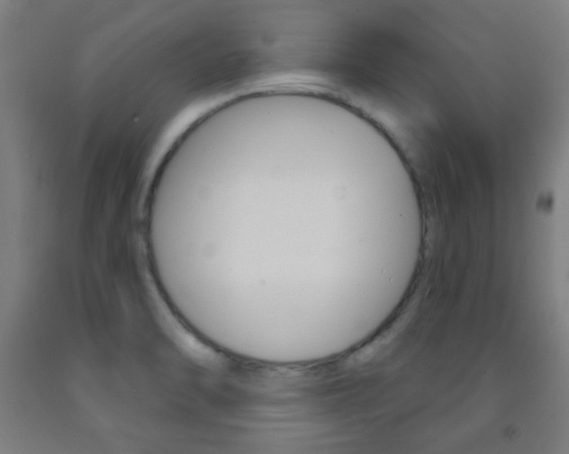 X0000093251470200709261546