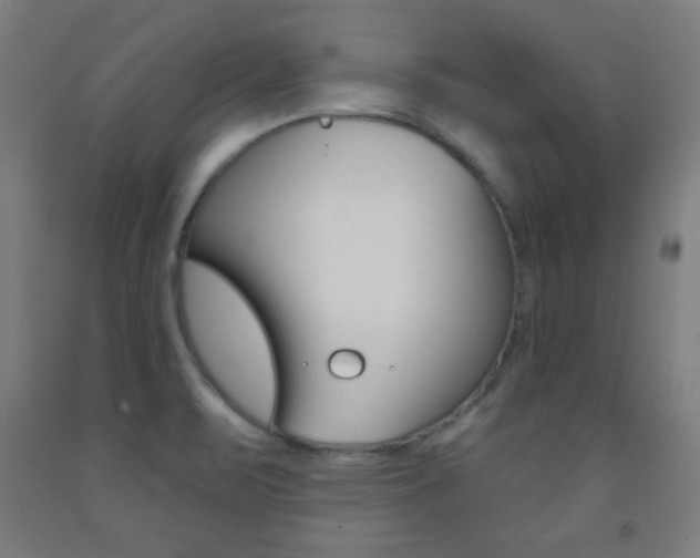 X0000093251471200709261546