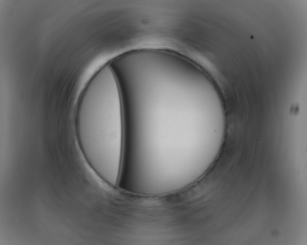 X0000093251472200709261546