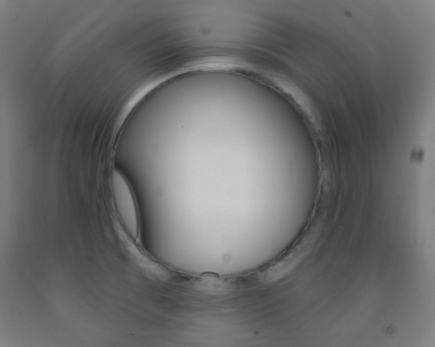 X0000093251473200709261546