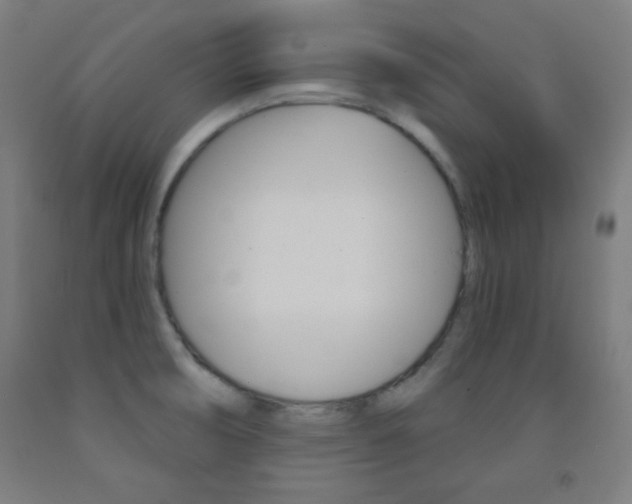X0000093251474200709261546