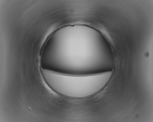 X0000093251476200709261546