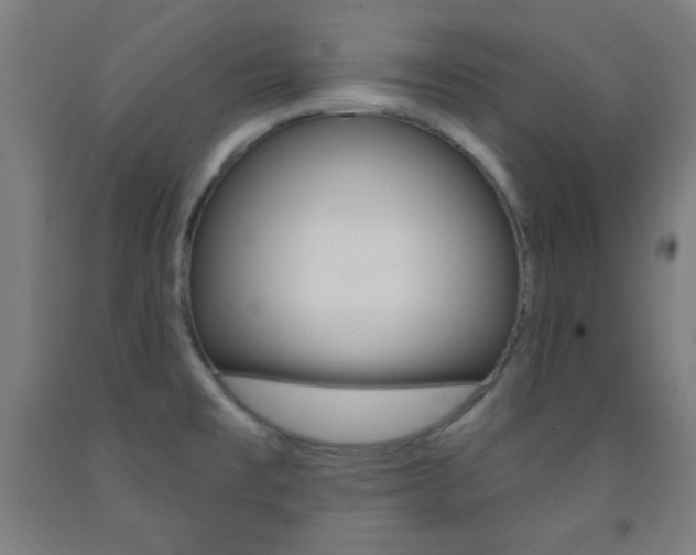 X0000093251477200709261546
