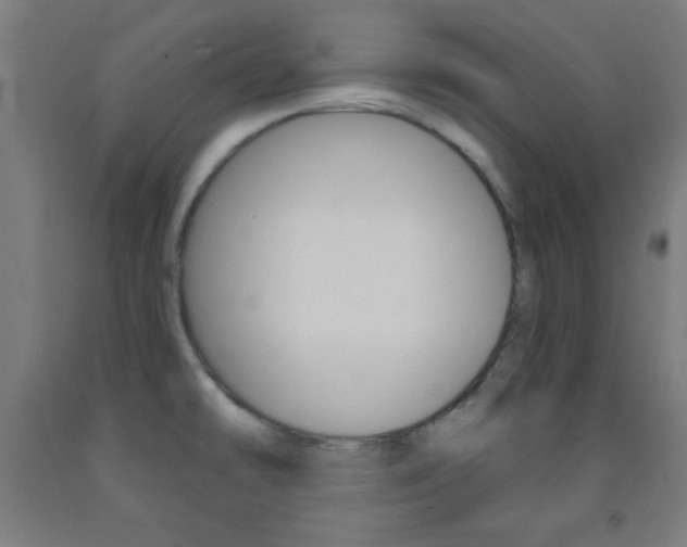 X0000093251478200709261546