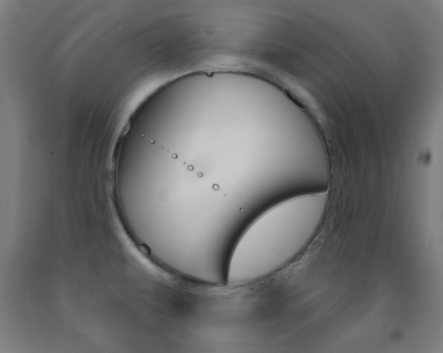 X0000093251479200709261546