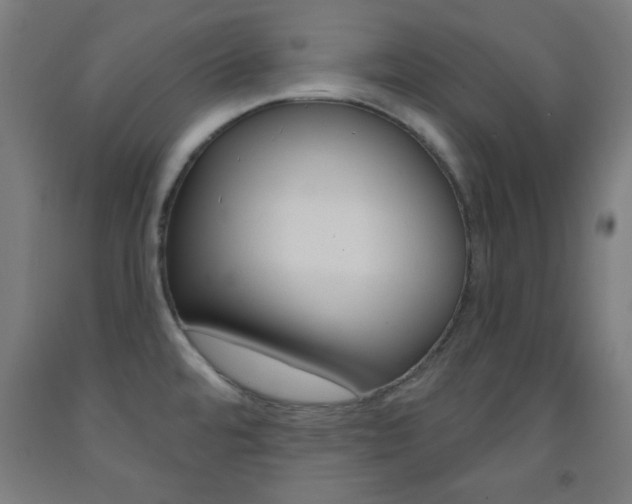 X0000093251480200709261546