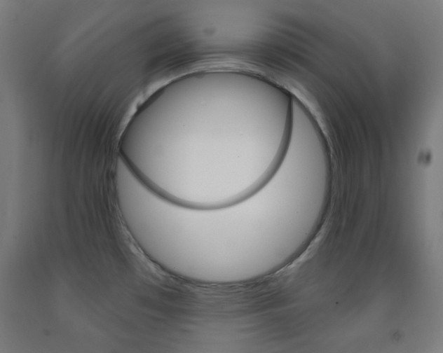 X0000093251481200709261546