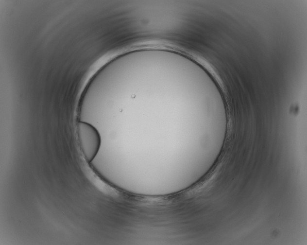 X0000093251482200709261546