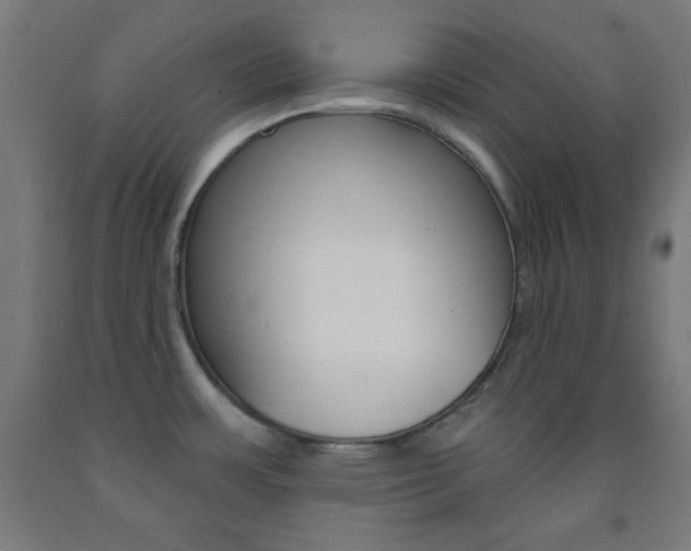 X0000093251483200709261546