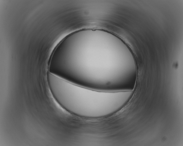 X0000093251484200709261546
