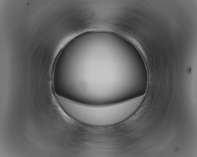 X0000093251485200709261546
