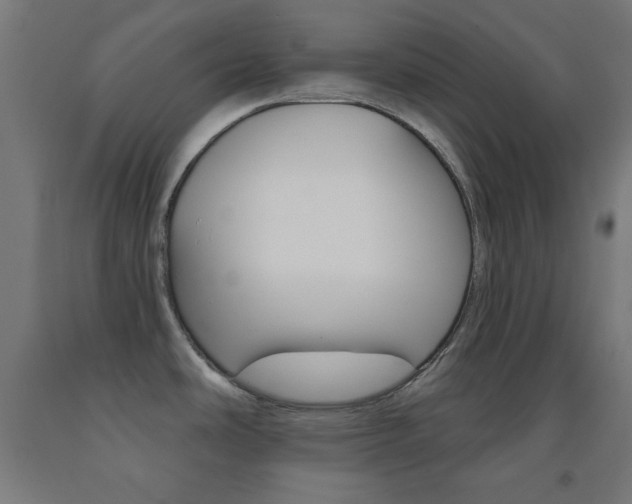 X0000093251486200709261546