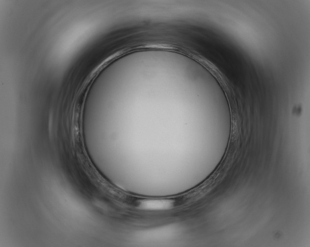 X0000093251487200709261546