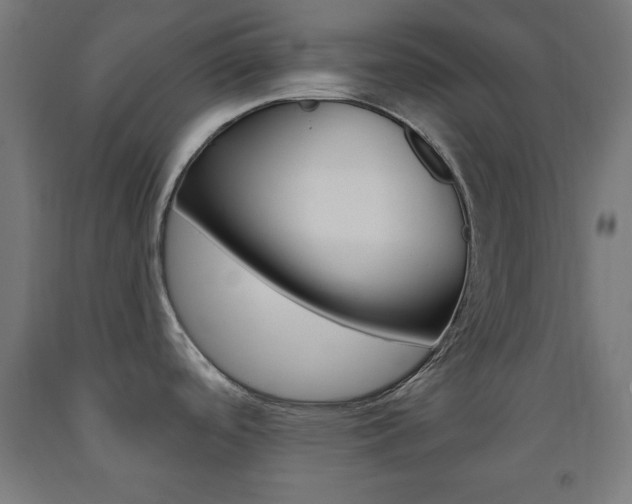X0000093251488200709261546
