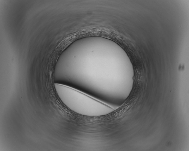 X0000093251489200709261545