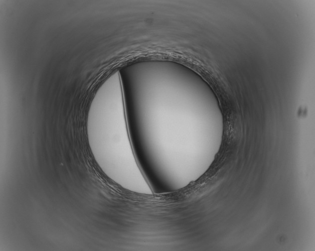 X0000093251490200709261545