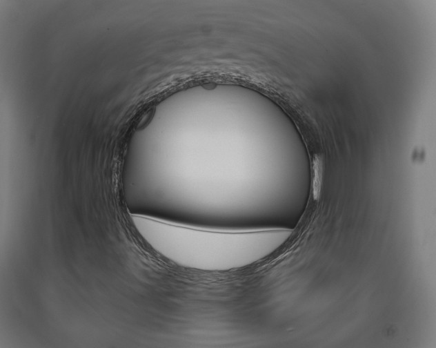 X0000093251491200709261545