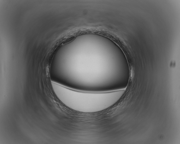 X0000093251492200709261545