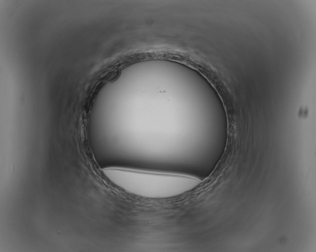 X0000093251493200709261545