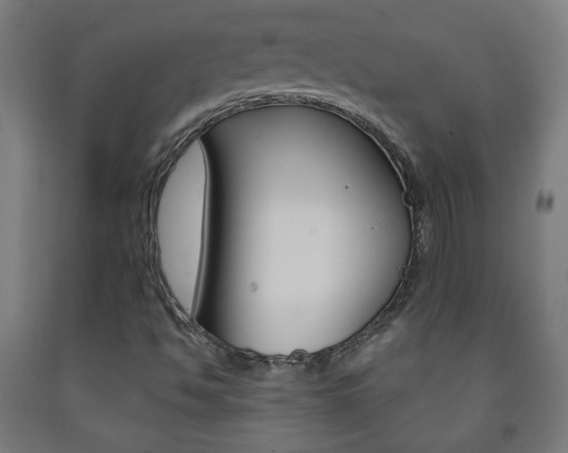 X0000093251494200709261545
