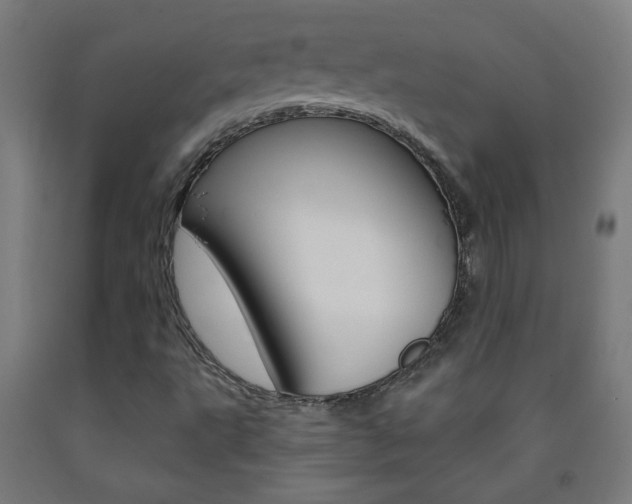 X0000093251495200709261545