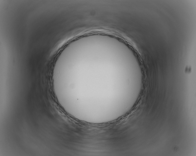 X0000093251496200709261545