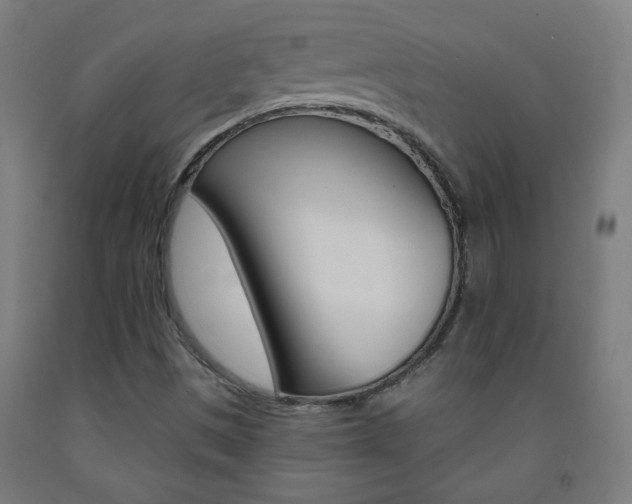 X0000093251497200709261545