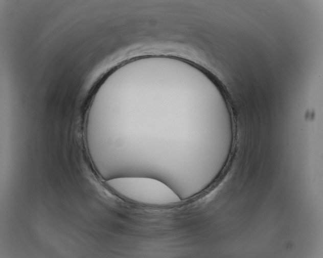 X0000093251498200709261545