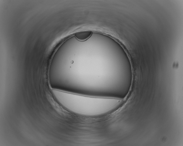 X0000093251499200709261545