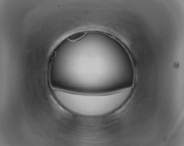 X0000093251500200709261545